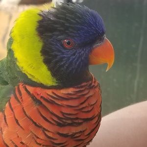 Meet your Posher, Daniel